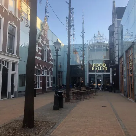 收藏家酒店 酒店